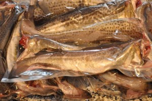 Dorsz tusza atlantycki świeży 1kg - Dorsze tusze