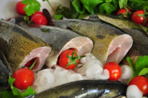 Pstrąg tusza świeży 1kg