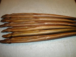 Węgorz wędzony 1kg