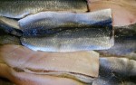 Płaty śledzia atlantyckiego świeży - śledzie 1KG