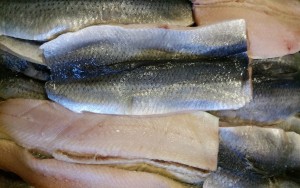 Płaty śledzia atlantyckiego świeży - śledzie 1KG